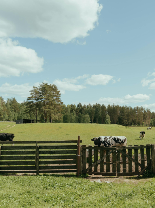 Ferme
