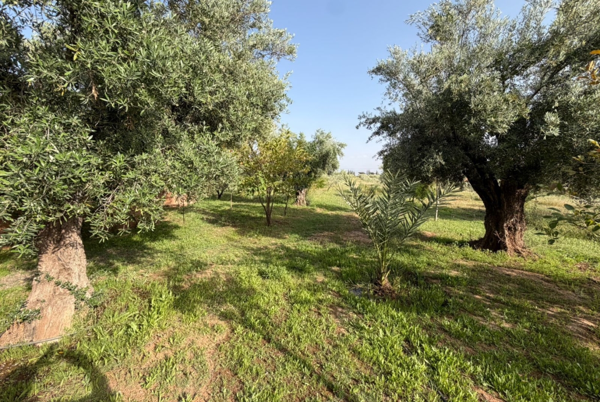 DEMEURE DE CHARME villa Rte ourika sur 2.5 Hectar