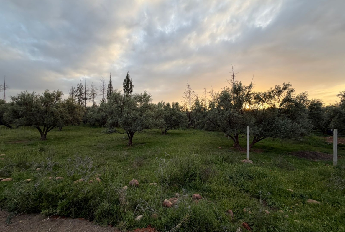 2TERRAIN Melkia Route Tahanaout