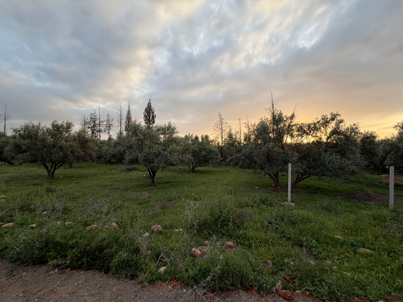 2TERRAIN Melkia Route Tahanaout