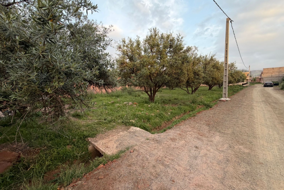 2TERRAIN Melkia Route Tahanaout