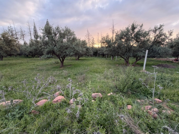 2TERRAIN Melkia Route Tahanaout