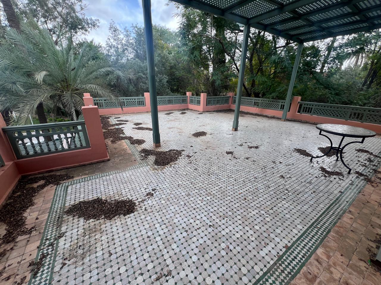 Magnifique villa entièrement rénovée– Palmeraie