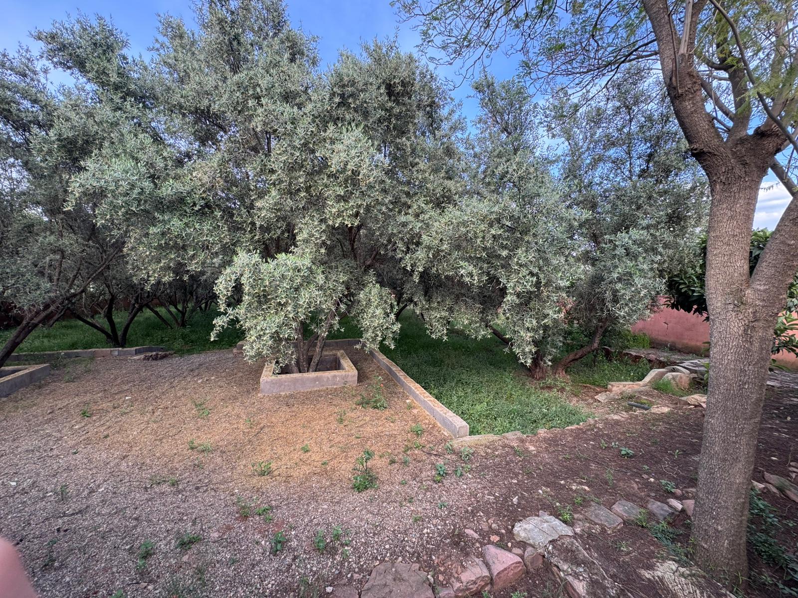 Maison d’Hôtes avec autorisation VNA Route de l’Ourika 30KM