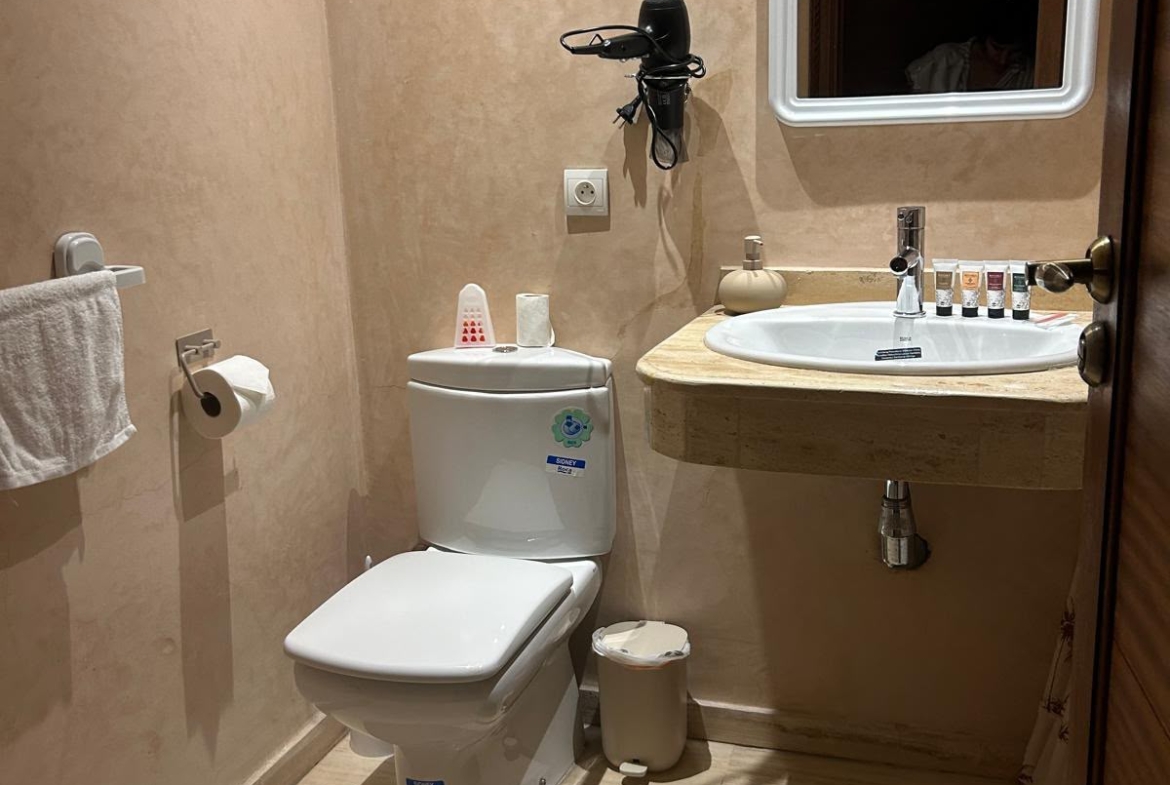DUPLEX MEUBLÉ AVEC PISCINE ROOFTOP VICTOR HUGO À LOUER