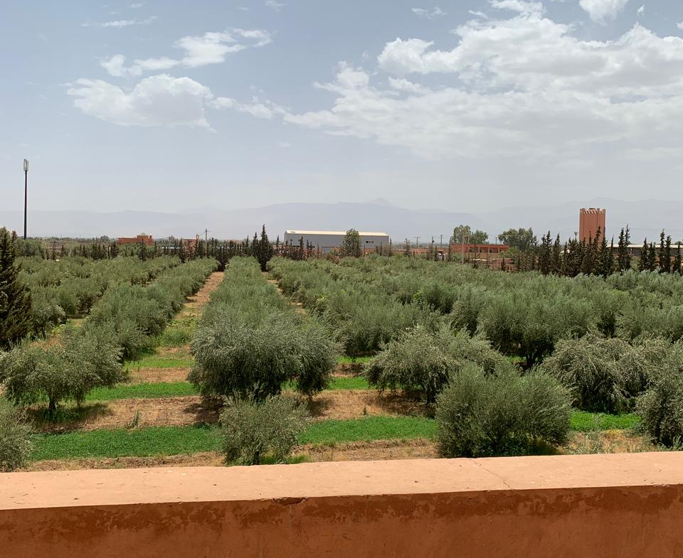RIAD DE CHARME SUR LA ROUTE DE L’OURIKA- À VENDRE