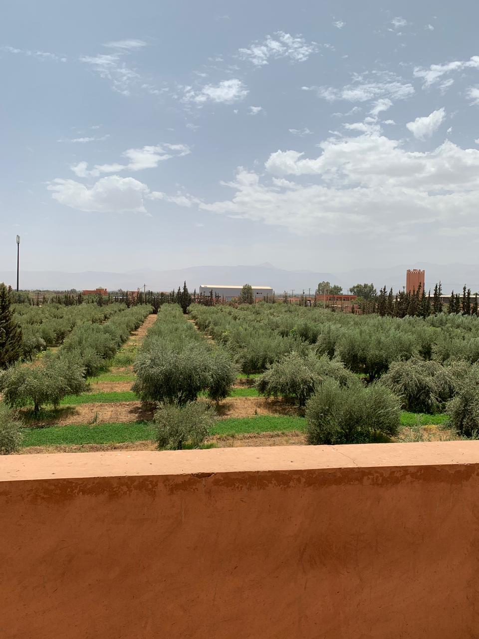RIAD DE CHARME SUR LA ROUTE DE L’OURIKA- À VENDRE