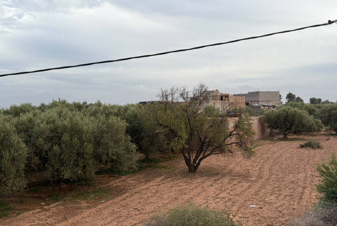 MAISON ROUTE OURIKA, À CÔTÉ DE BLADNA – À LOUER